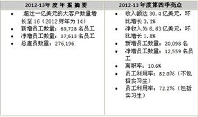 TCS 2013财年报告 财务咨询业务保持强劲增长态势