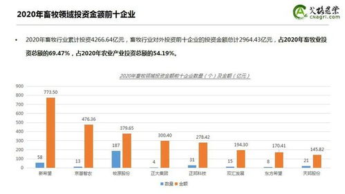 逆势上涨 2020年中国农业食品投资年报中的财务洞察
